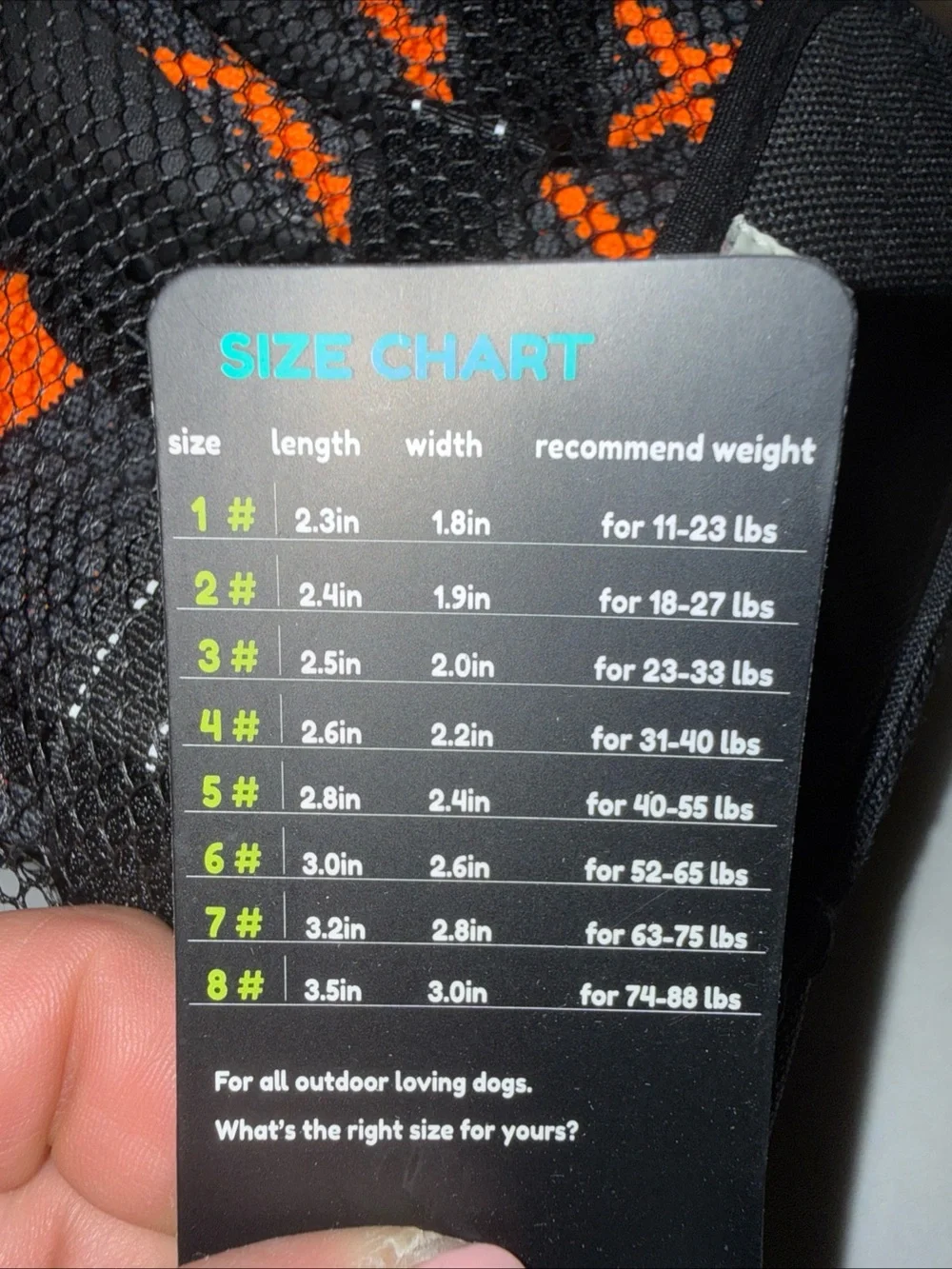 Fur mate dog shoes